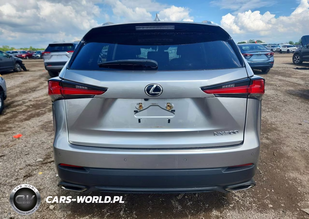 2019 Lexus Nx 300 Base VIN:JTJBARBZ7K2196559 - 6