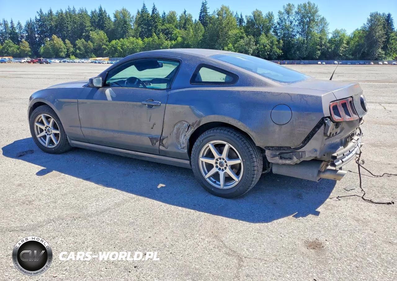 2014 Ford Mustang VIN:1ZVBP8AM2E5281567 - 2