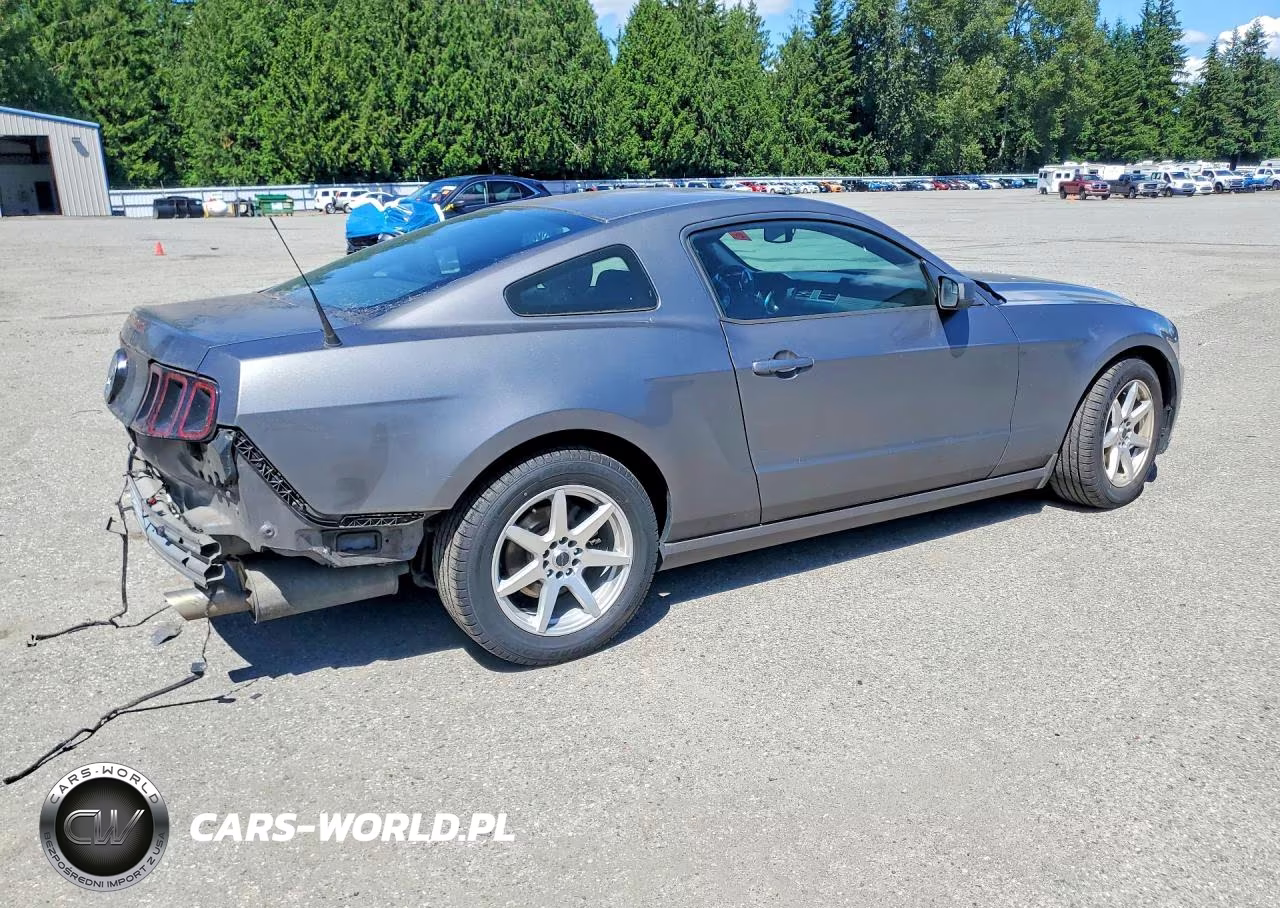2014 Ford Mustang VIN:1ZVBP8AM2E5281567 - 3