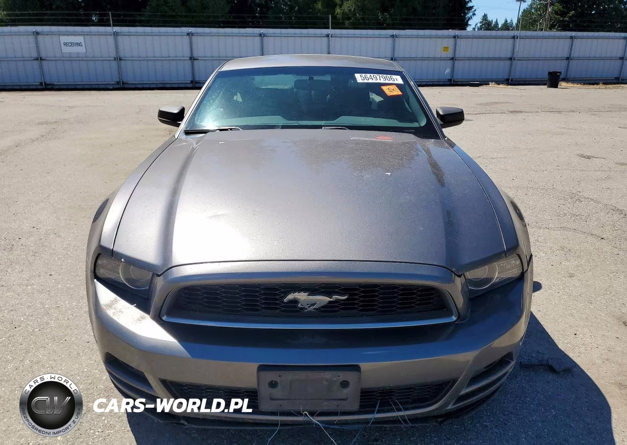 2014 Ford Mustang VIN:1ZVBP8AM2E5281567 - 5
