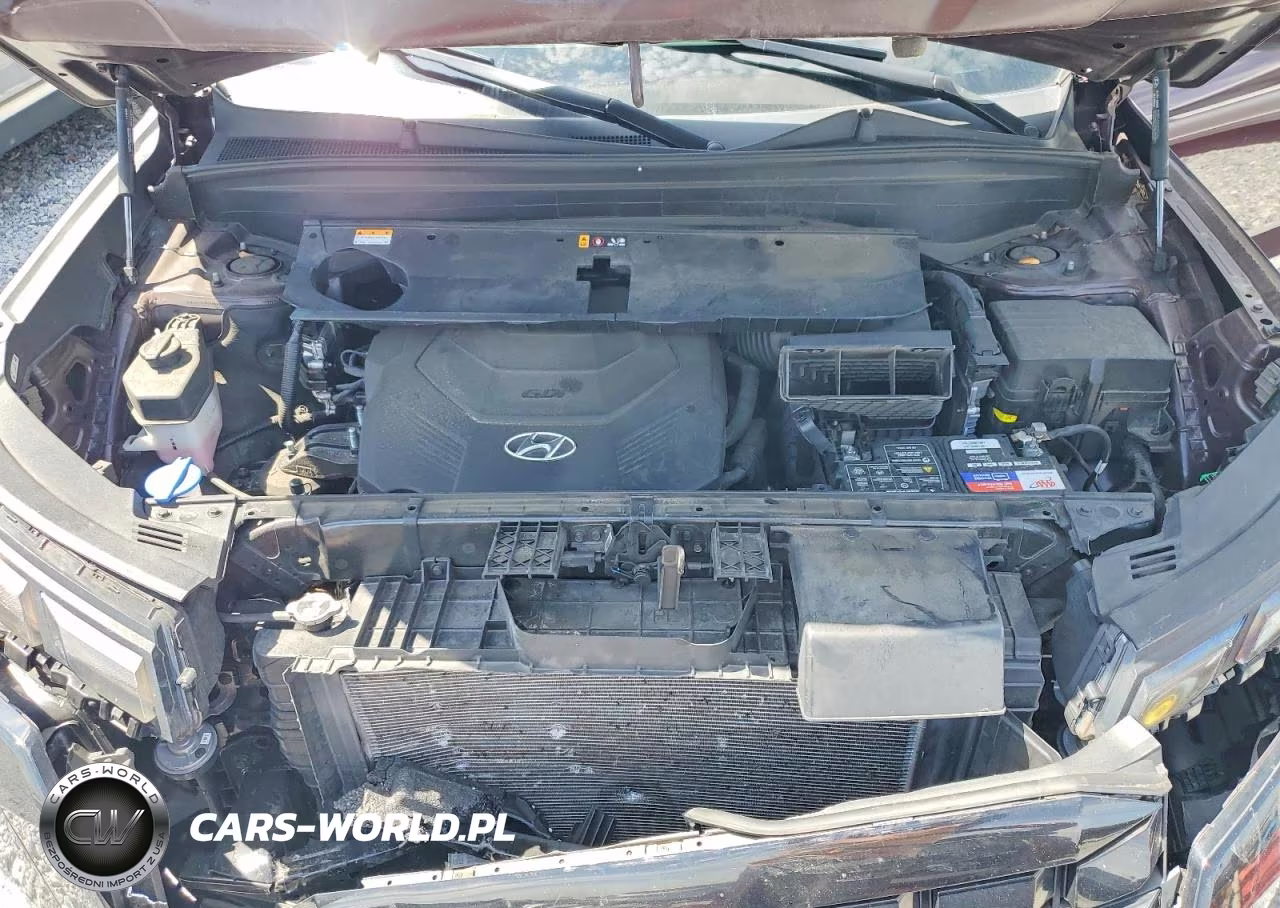 2023 Hyundai Palisade Sel VIN:KM8R24GE5PU513821 - 12