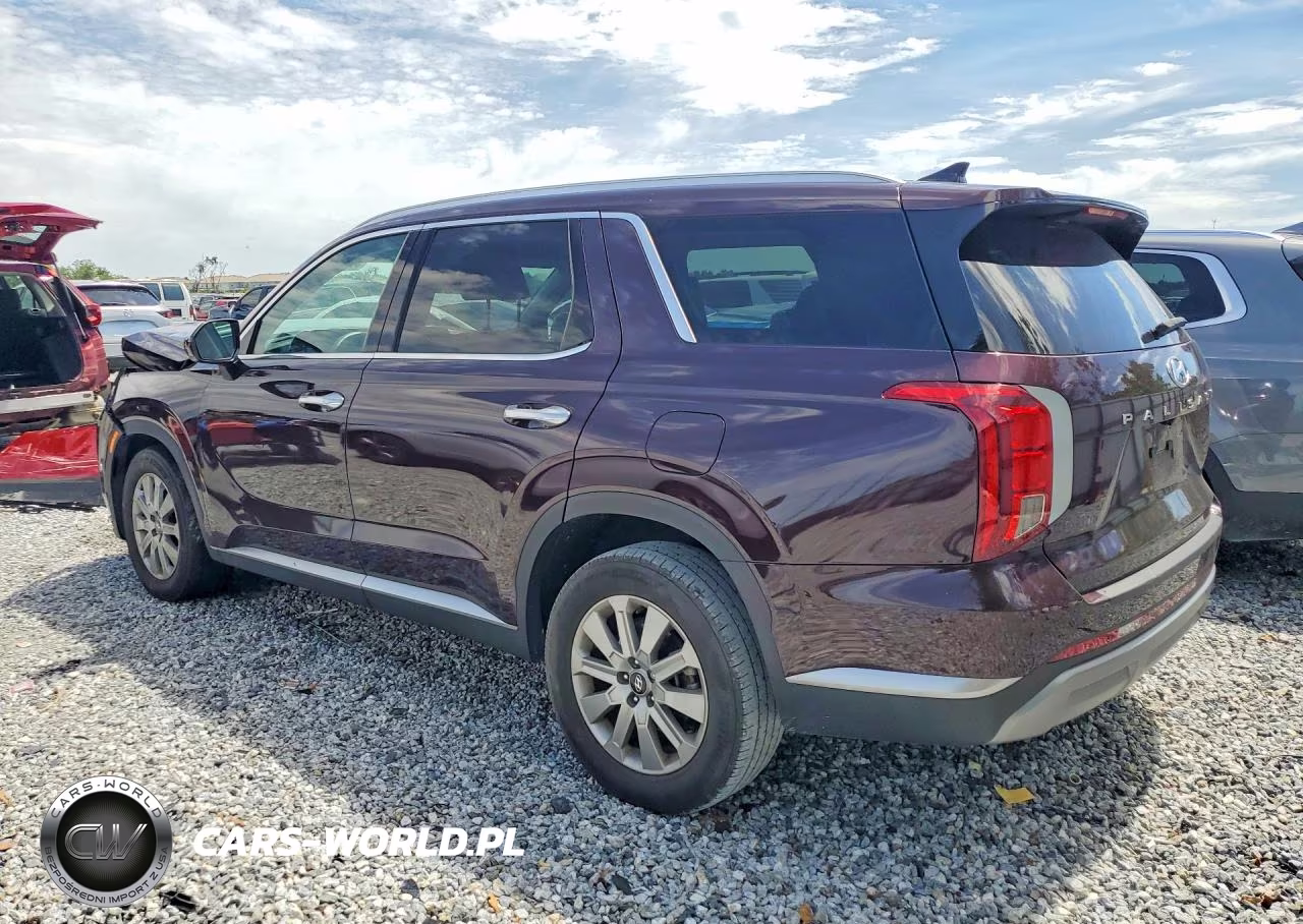 2023 Hyundai Palisade Sel VIN:KM8R24GE5PU513821 - 2