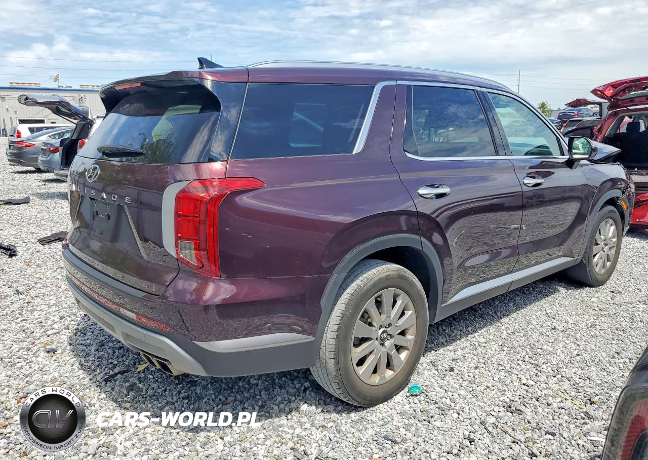 2023 Hyundai Palisade Sel VIN:KM8R24GE5PU513821 - 3