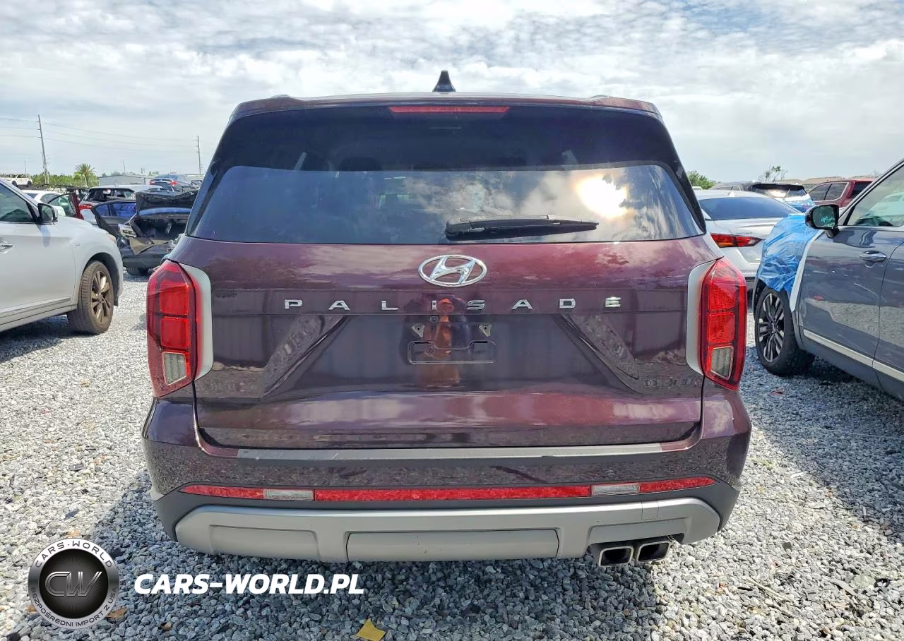 2023 Hyundai Palisade Sel VIN:KM8R24GE5PU513821 - 6