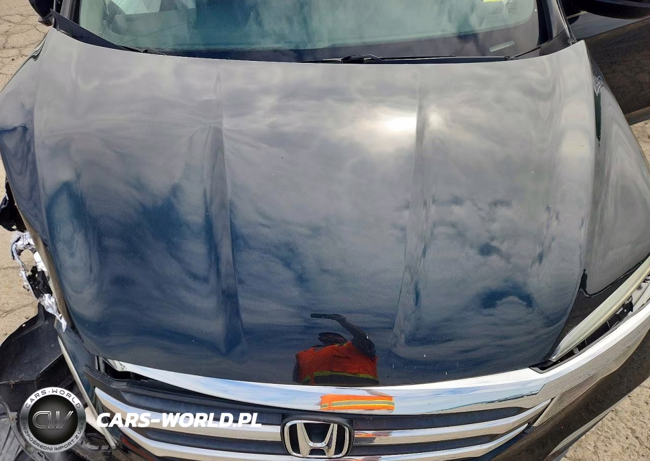2016 Honda Pilot Exl VIN:5FNYF6H54GB088485 - 12