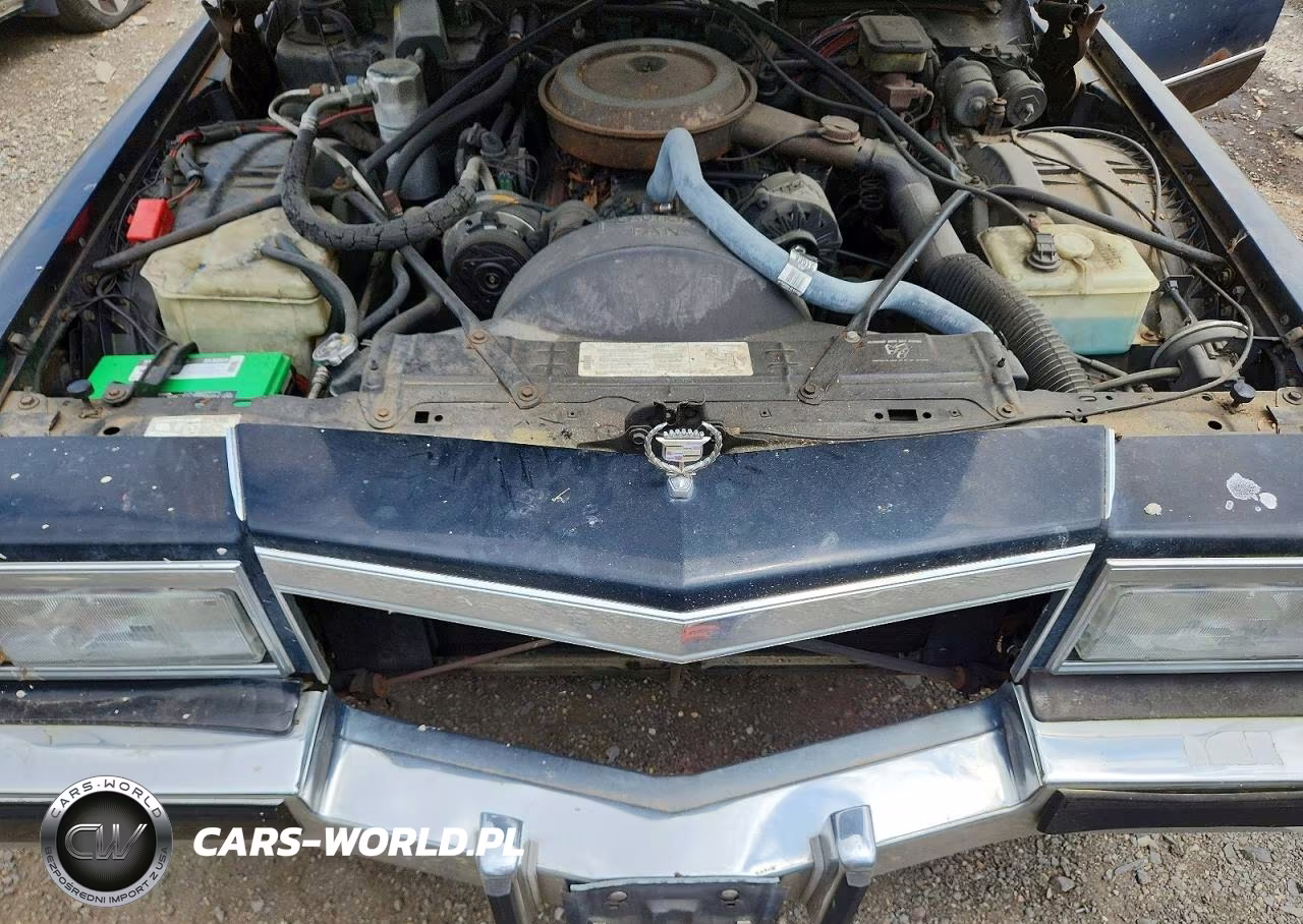 1990 Cadillac Brougham VIN:1G6DW5473LR723199 - 11