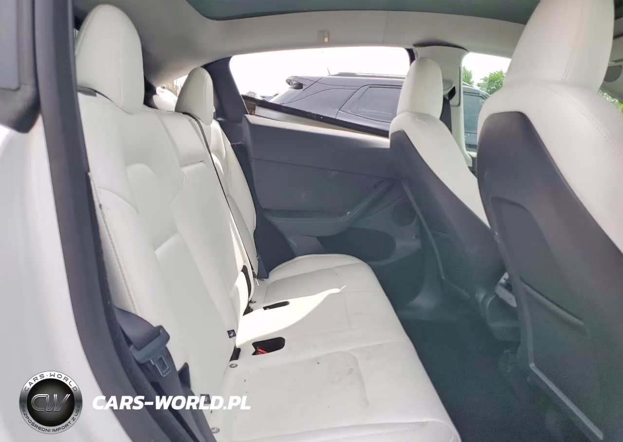 2024 Tesla Model Y VIN:7SAYGDEE1RF209324 - 10
