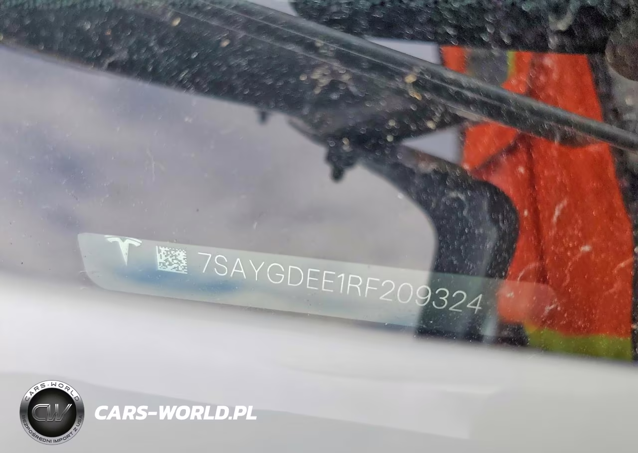 2024 Tesla Model Y VIN:7SAYGDEE1RF209324 - 12