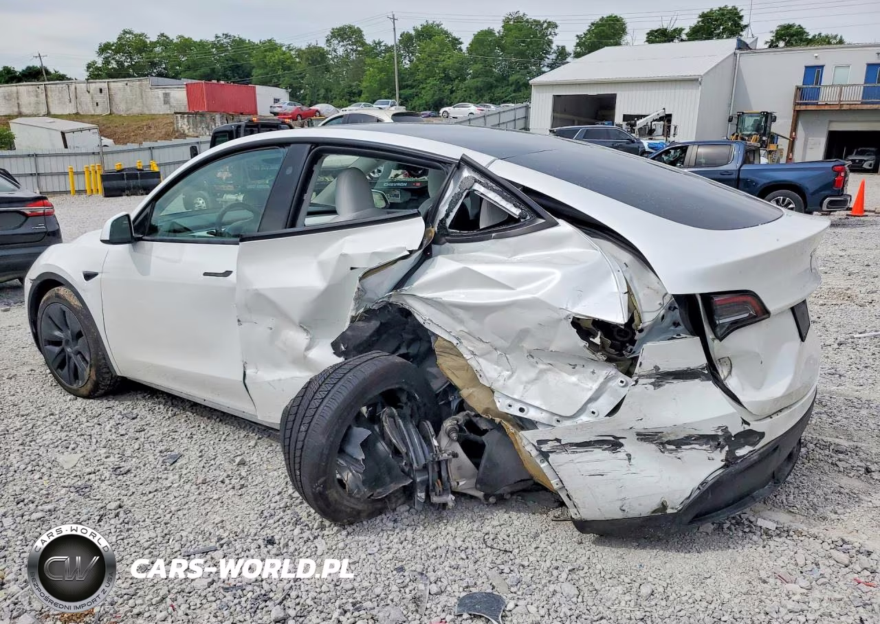 2024 Tesla Model Y VIN:7SAYGDEE1RF209324 - 2