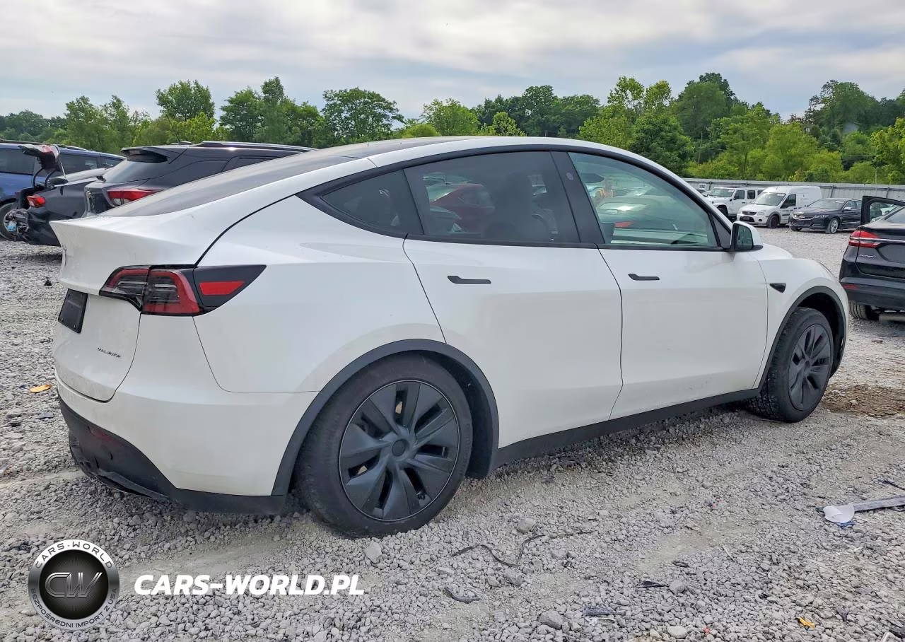2024 Tesla Model Y VIN:7SAYGDEE1RF209324 - 3
