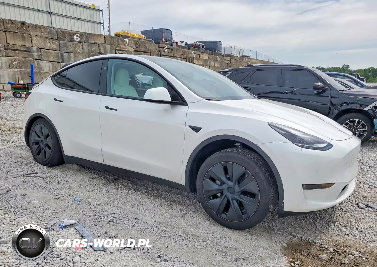 2024 Tesla Model Y VIN:7SAYGDEE1RF209324 - 4