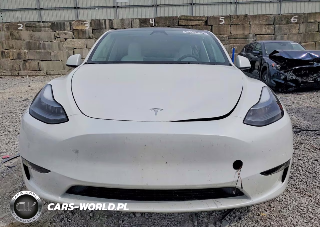 2024 Tesla Model Y VIN:7SAYGDEE1RF209324 - 5