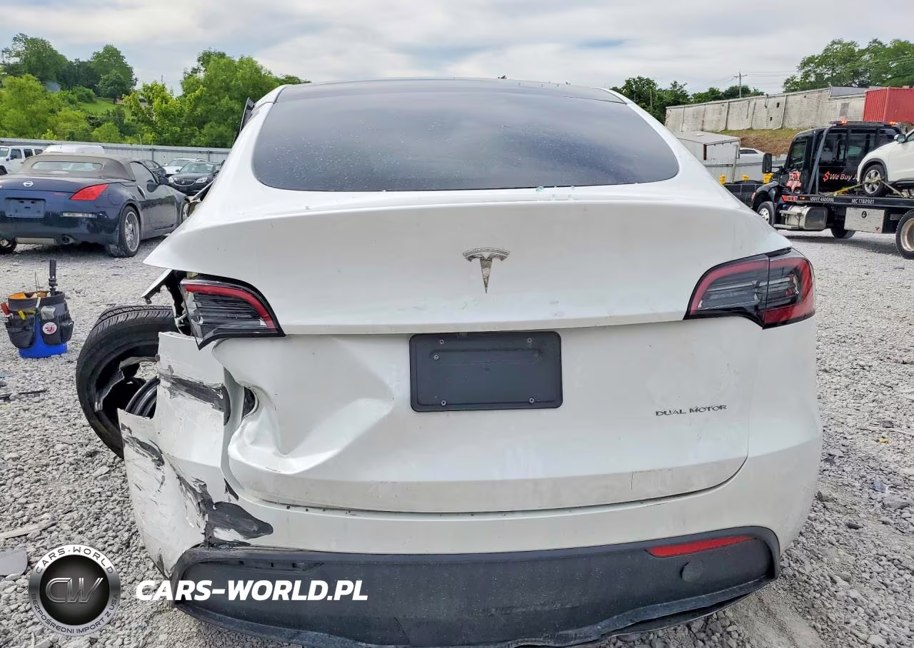 2024 Tesla Model Y VIN:7SAYGDEE1RF209324 - 6