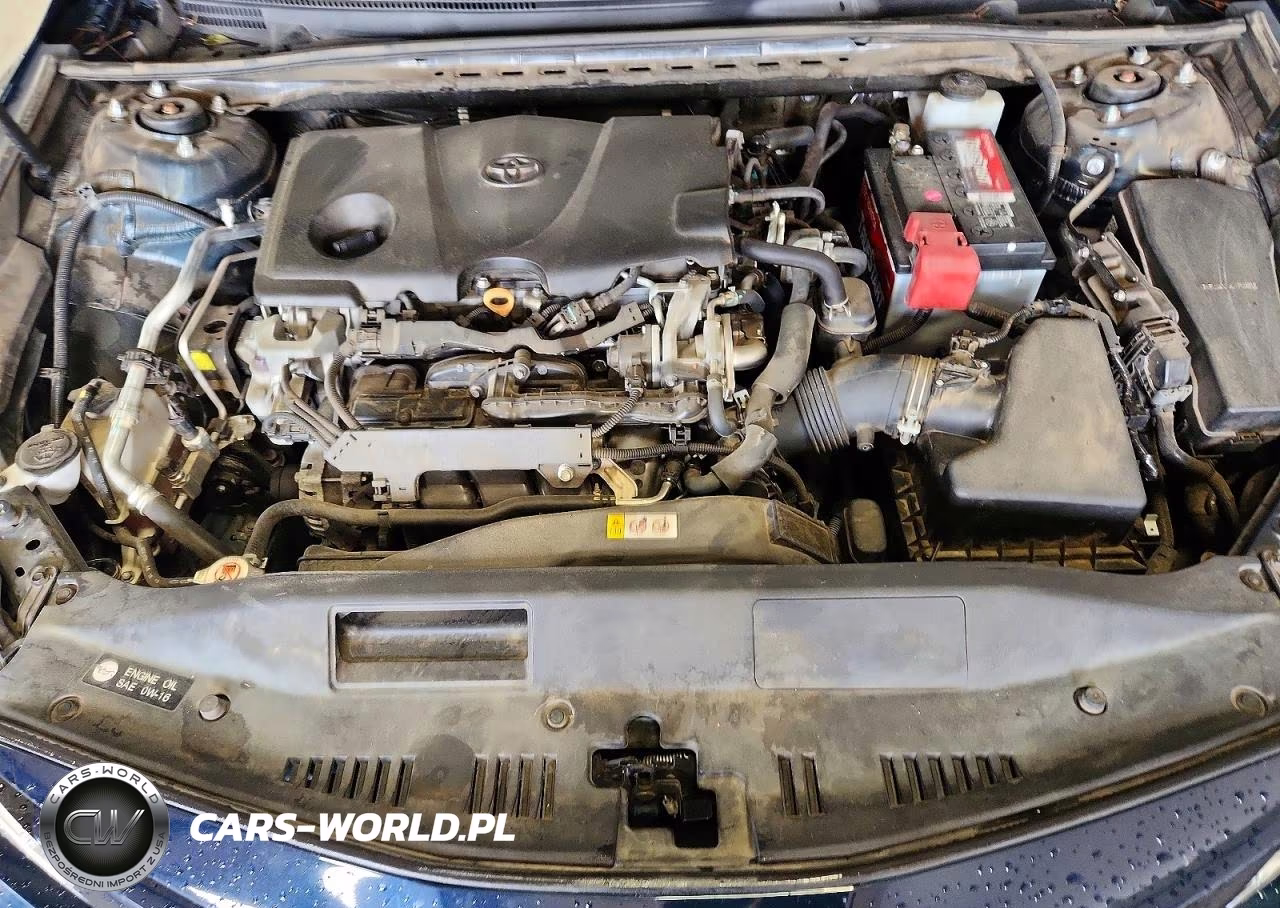2019 Toyota Camry Le VIN:4T1B11HK7KU256841 - 11