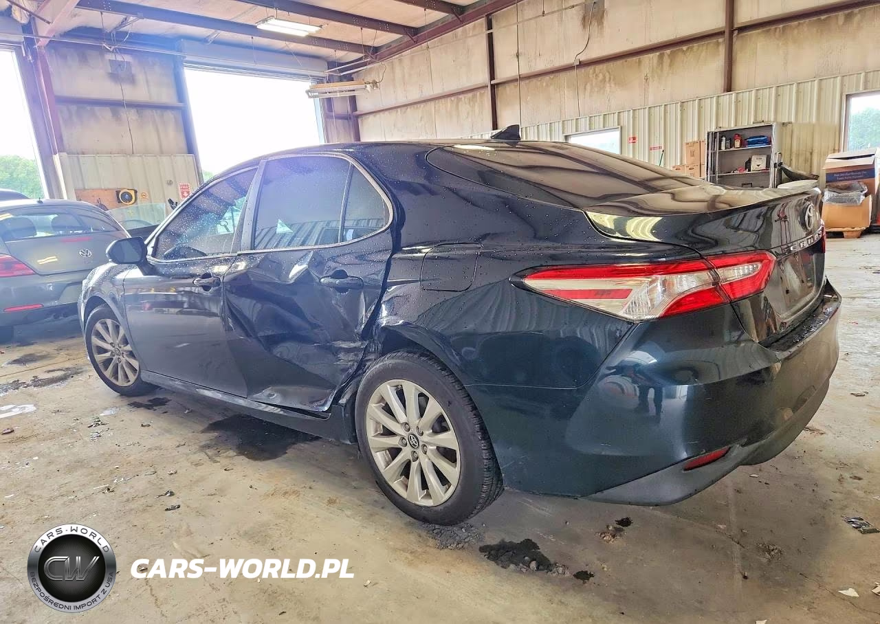 2019 Toyota Camry Le VIN:4T1B11HK7KU256841 - 2