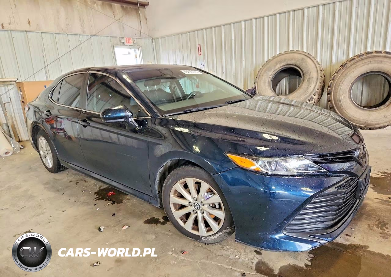 2019 Toyota Camry Le VIN:4T1B11HK7KU256841 - 4