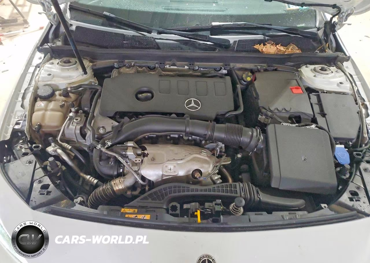 2019 Mercedes-Benz A 220 4Matic VIN:WDD3G4FB8KW024237 - 11