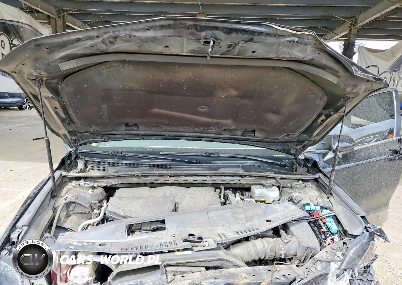 2019 Toyota Camry Le VIN:4T1B31HK0KU006657 - 11