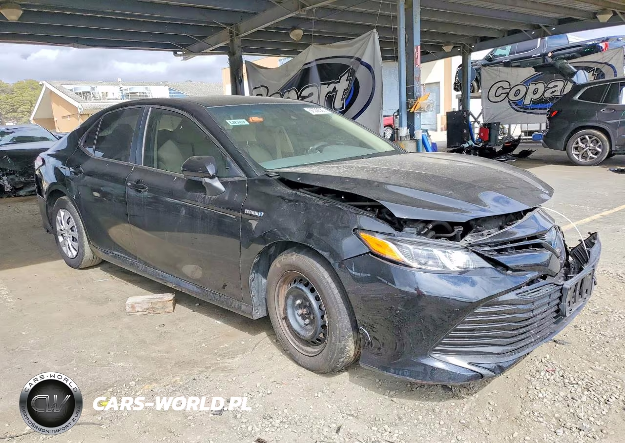 2019 Toyota Camry Le VIN:4T1B31HK0KU006657 - 4