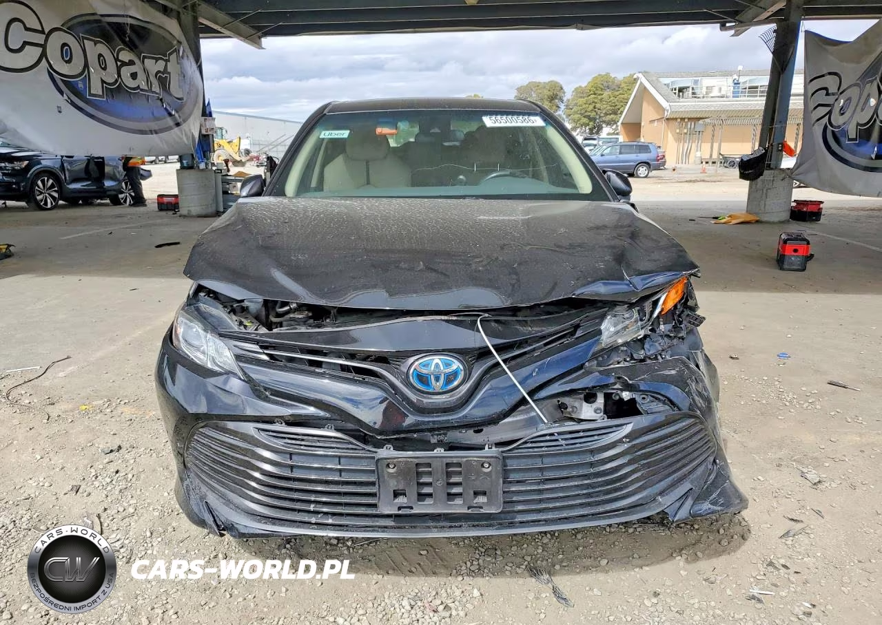 2019 Toyota Camry Le VIN:4T1B31HK0KU006657 - 5