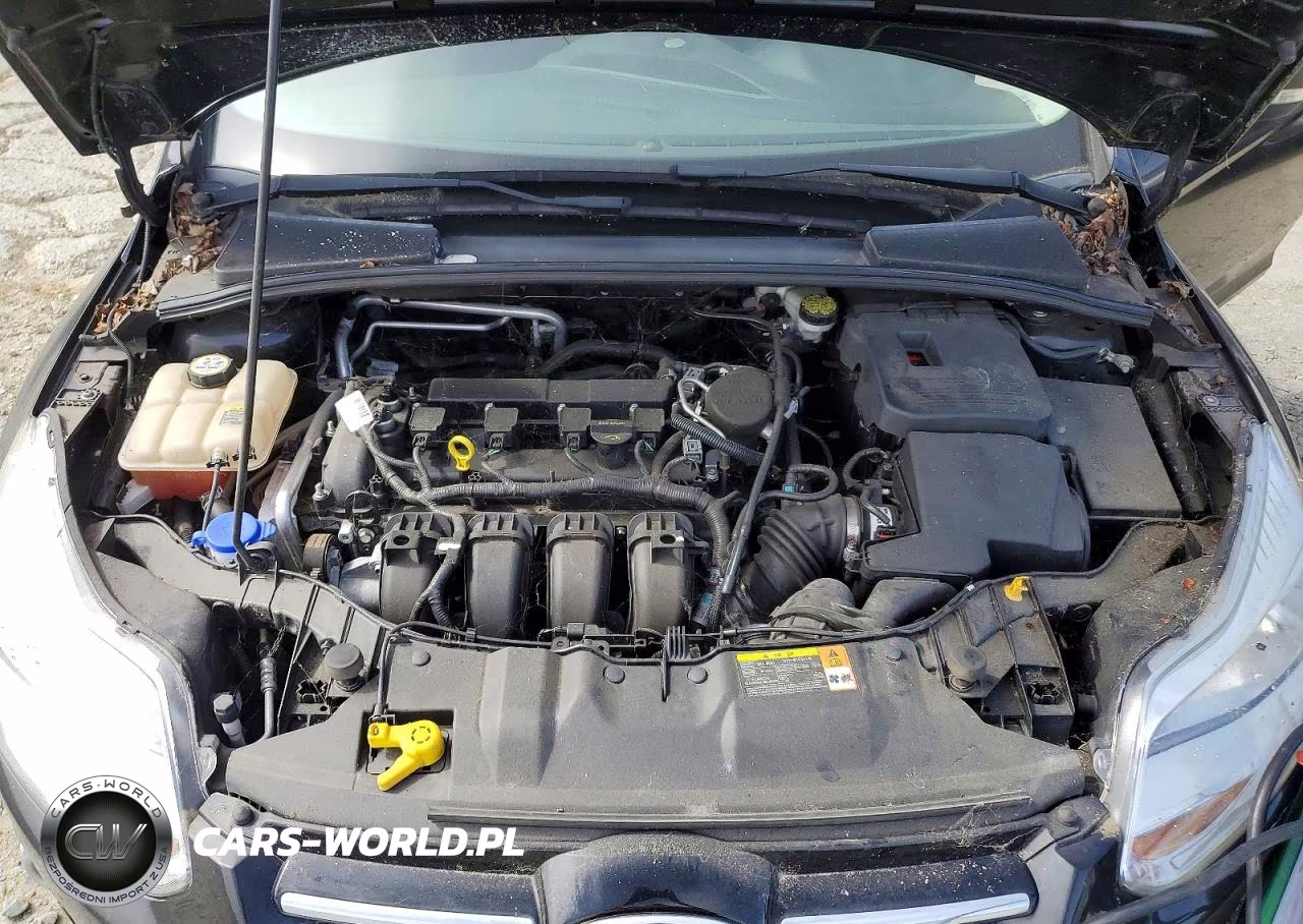2012 Ford Focus Sel VIN:1FAHP3H22CL131283 - 11