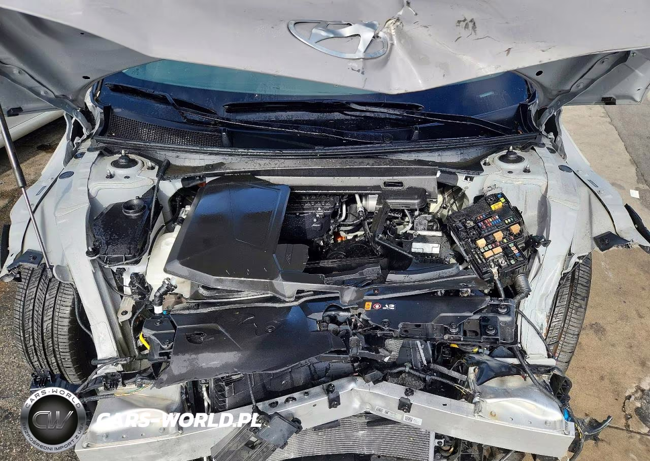 2025 Hyundai Ioniq 5 Sel VIN:7YAKN4DA8SY032521 - 11