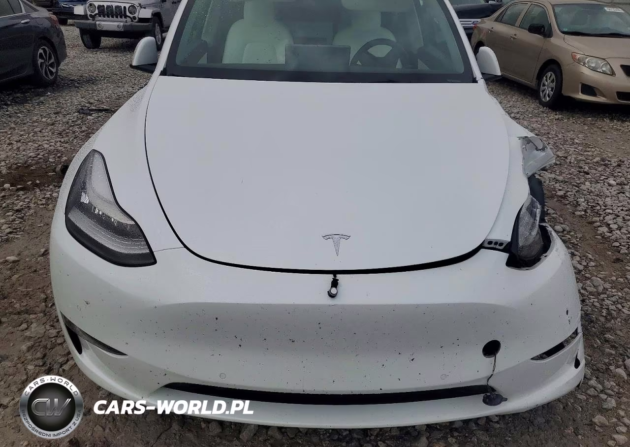 2021 Tesla Model Y VIN:5YJYGDEE7MF190087 - 12