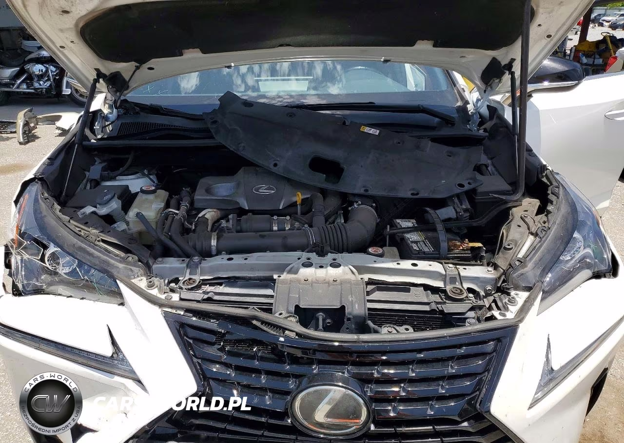 2020 Lexus Nx 300 VIN:JTJGARBZ9L2169855 - 12