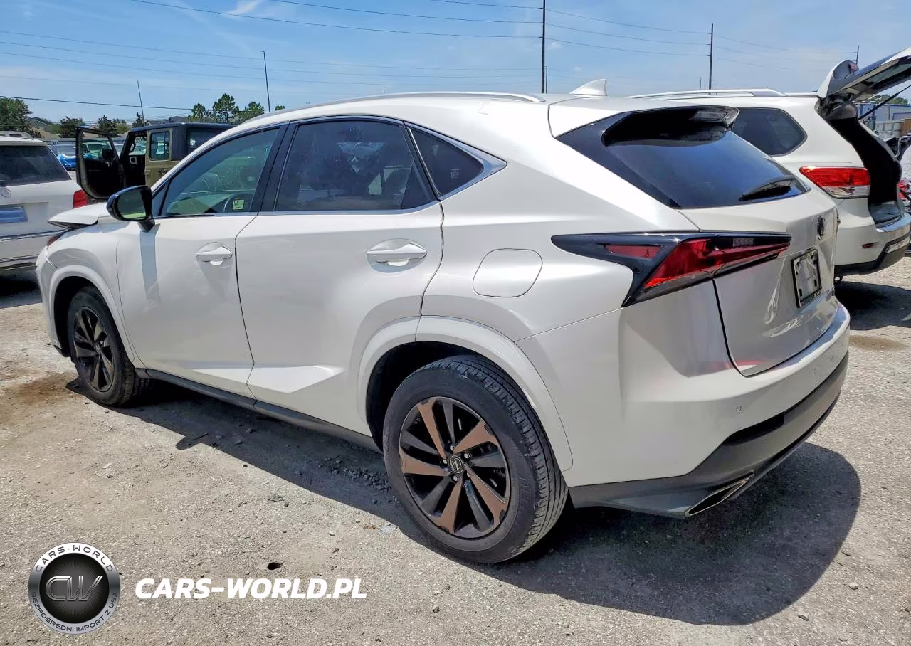 2020 Lexus Nx 300 VIN:JTJGARBZ9L2169855 - 2