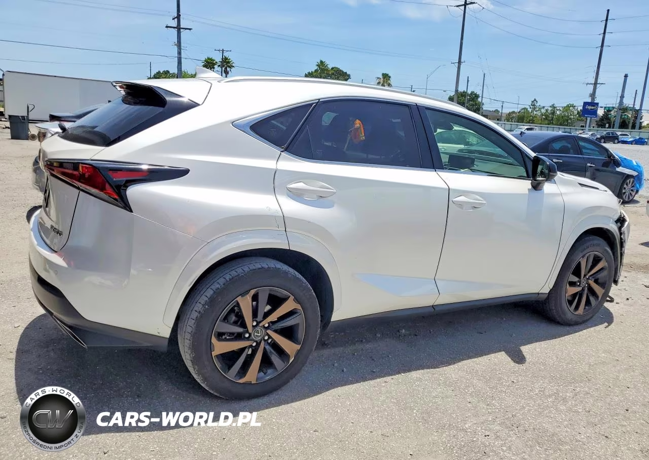 2020 Lexus Nx 300 VIN:JTJGARBZ9L2169855 - 3