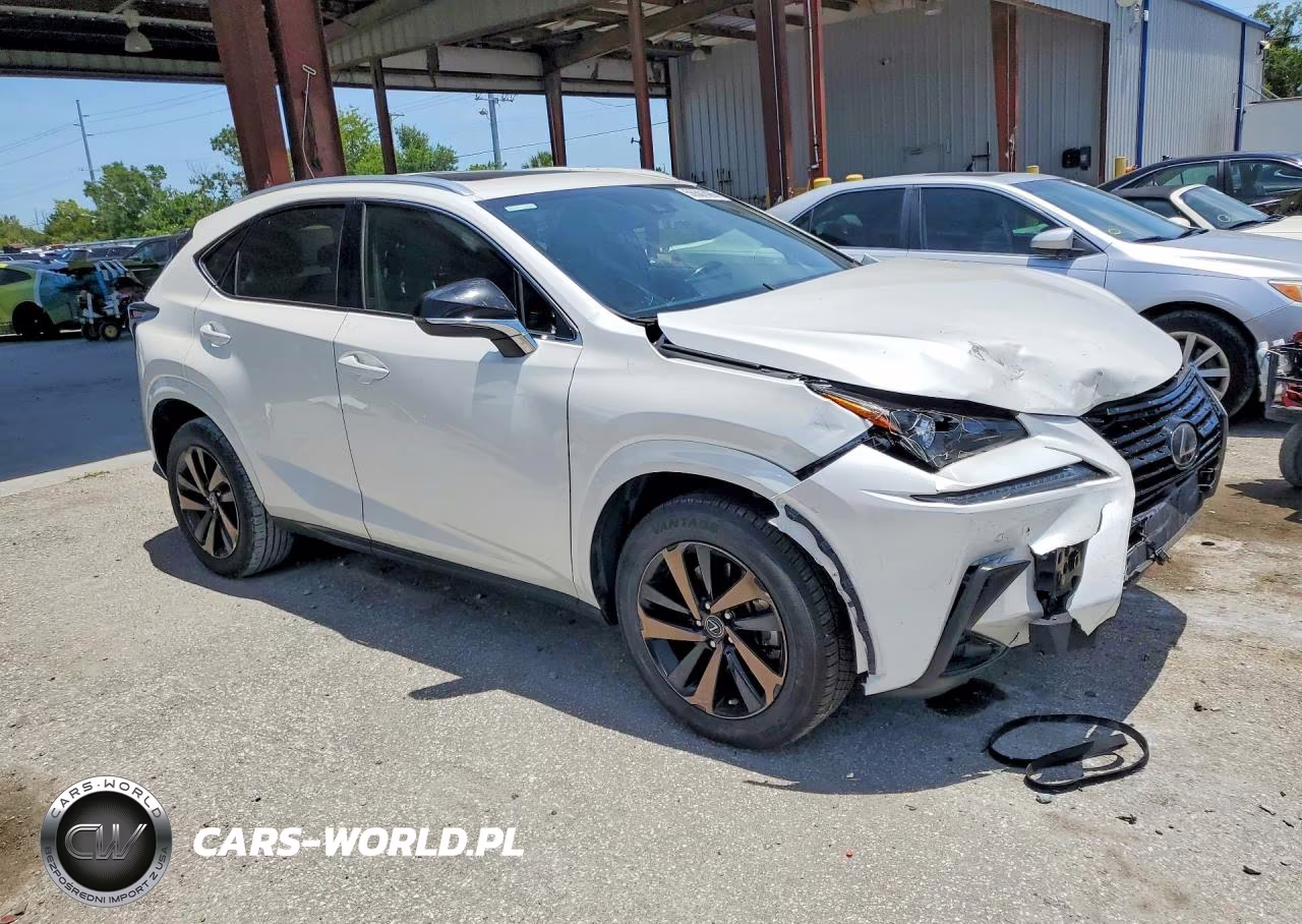2020 Lexus Nx 300 VIN:JTJGARBZ9L2169855 - 4