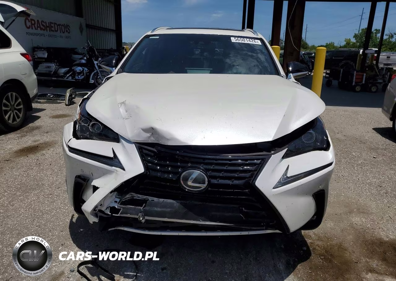 2020 Lexus Nx 300 VIN:JTJGARBZ9L2169855 - 5