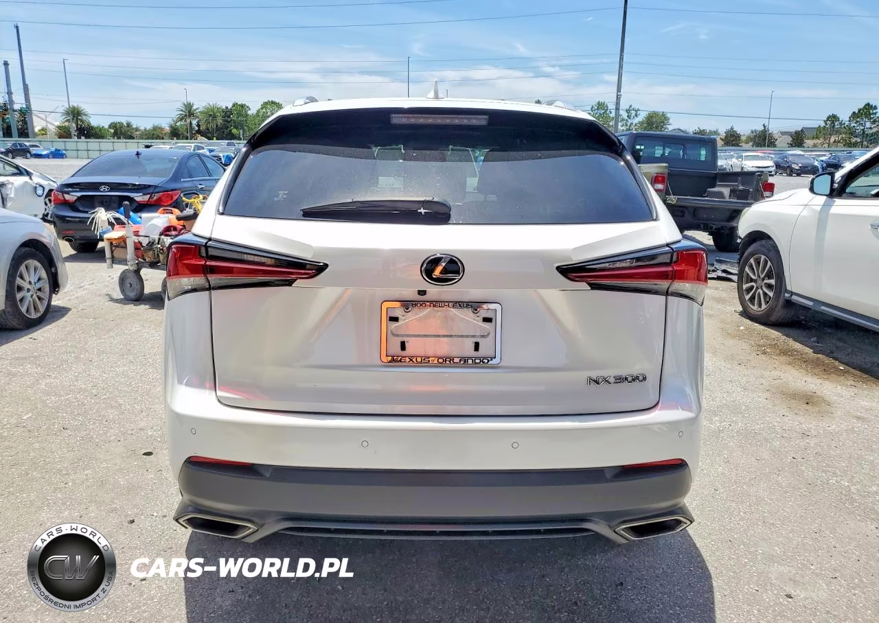 2020 Lexus Nx 300 VIN:JTJGARBZ9L2169855 - 6