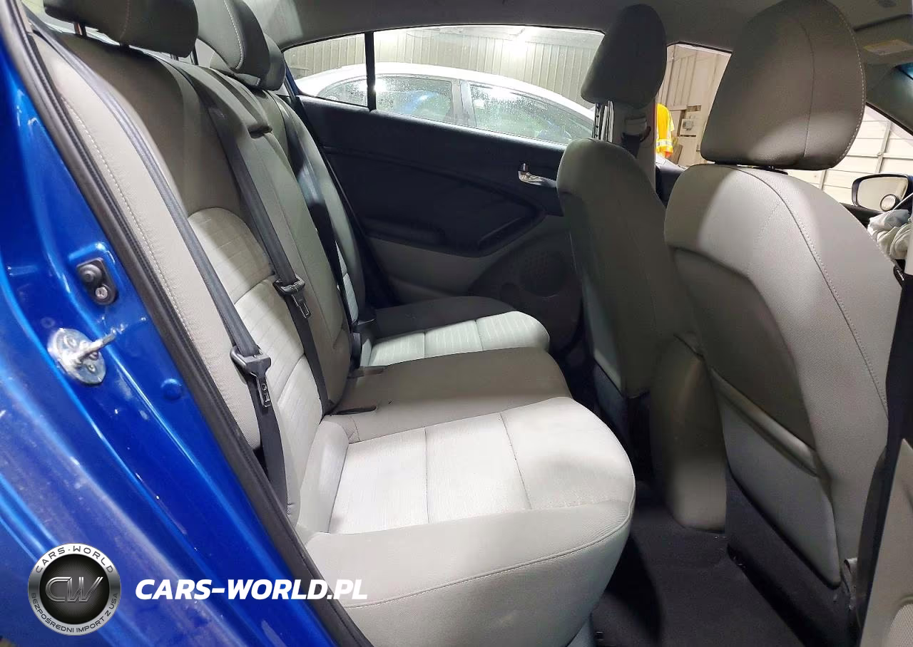 2015 Kia Forte Ex VIN:KNAFX4A80F5267584 - 10