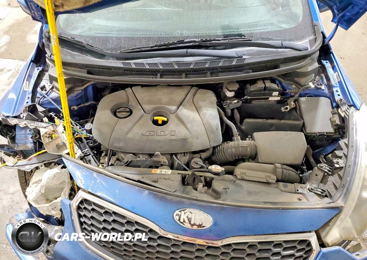 2015 Kia Forte Ex VIN:KNAFX4A80F5267584 - 11