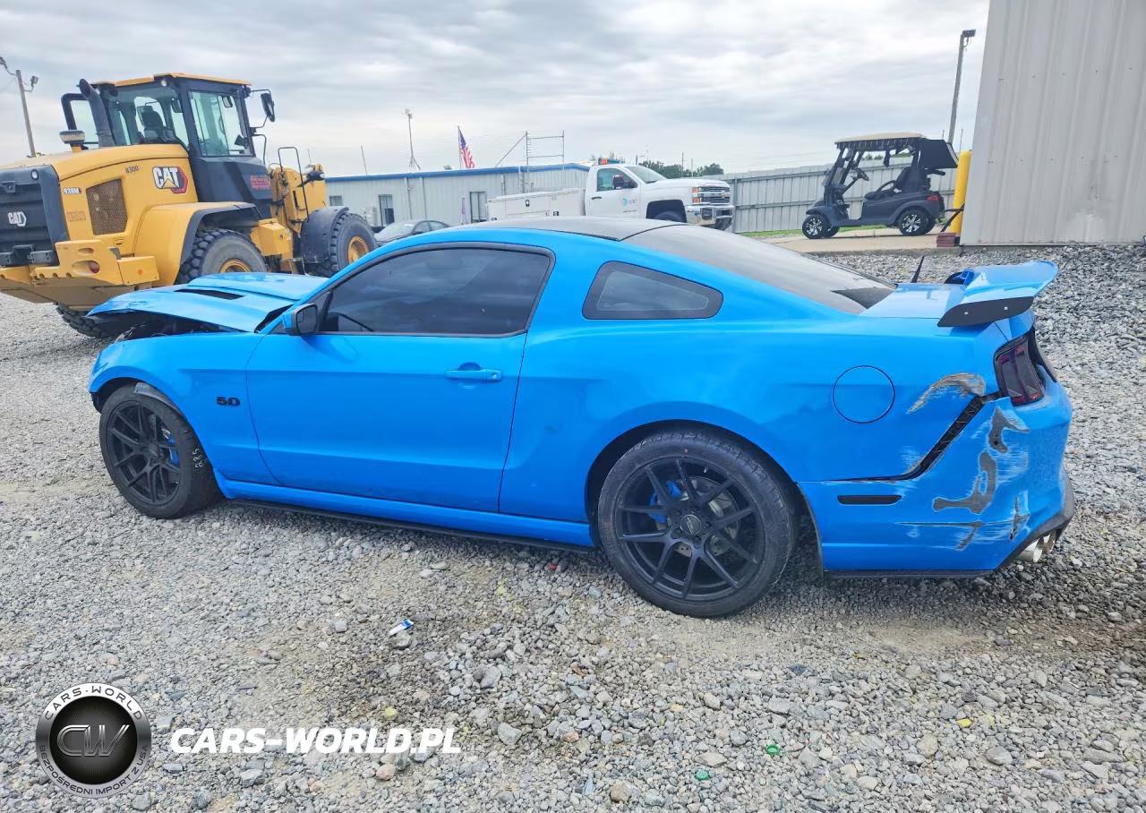 2013 Ford Mustang Gt VIN:1ZVBP8CF8D5248831 - 2
