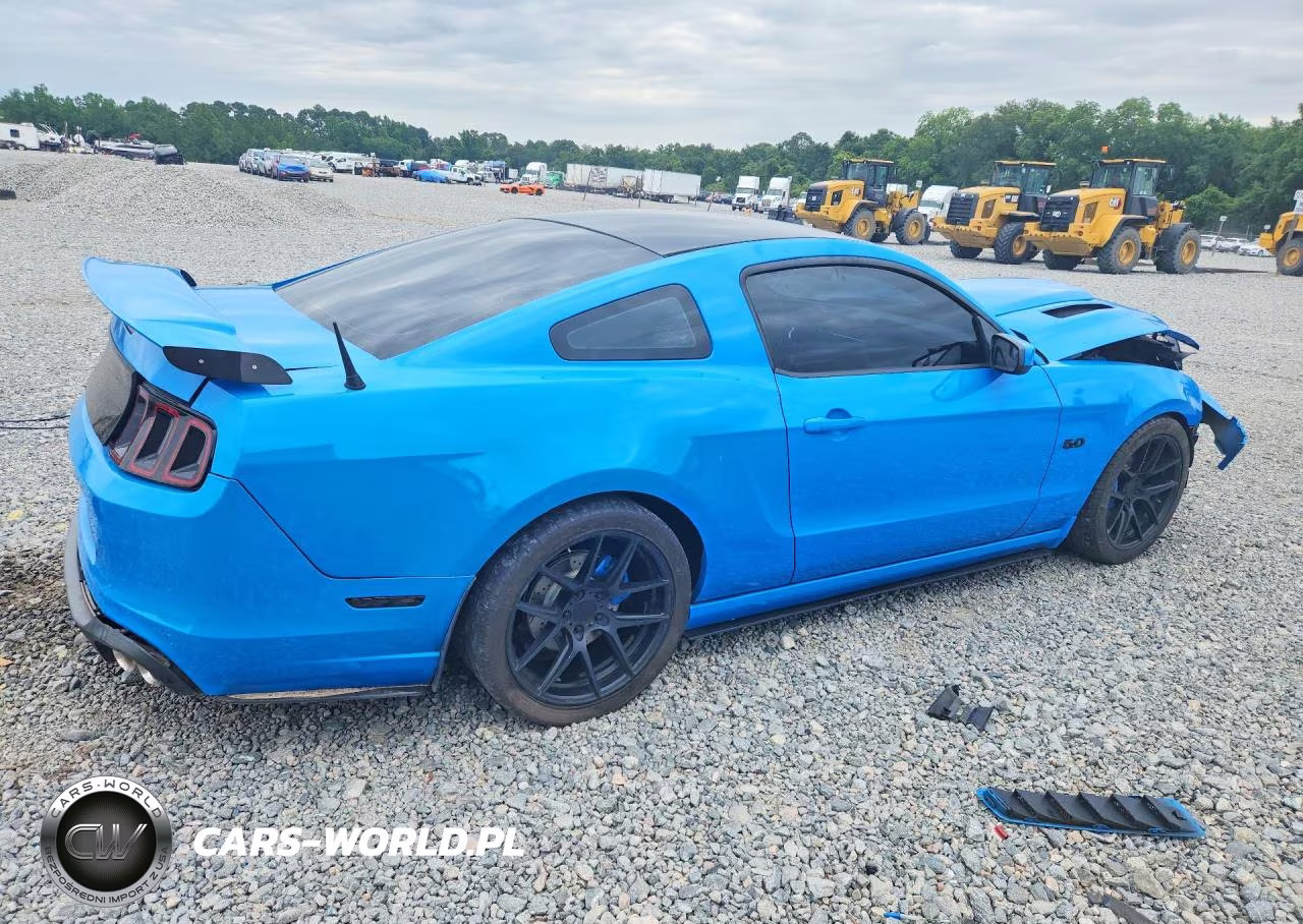 2013 Ford Mustang Gt VIN:1ZVBP8CF8D5248831 - 3