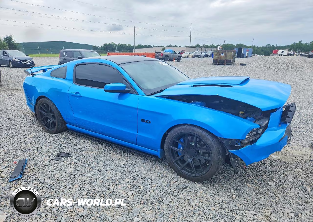 2013 Ford Mustang Gt VIN:1ZVBP8CF8D5248831 - 4