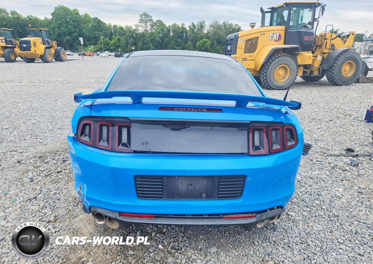 2013 Ford Mustang Gt VIN:1ZVBP8CF8D5248831 - 6