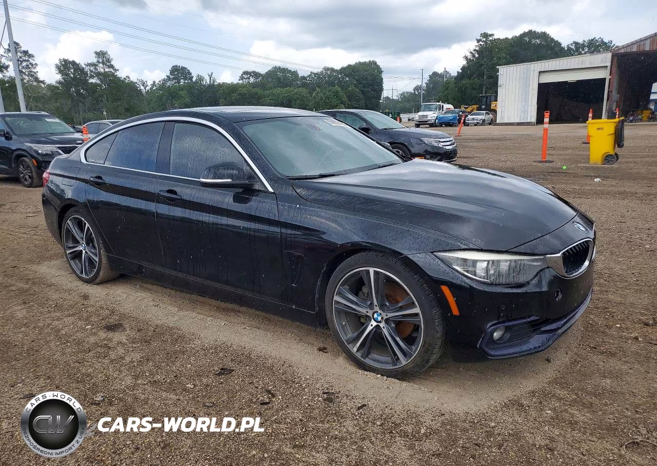 2018 BMW 430I Gran Coupe VIN:WBA4J1C55JBA30080 - 4