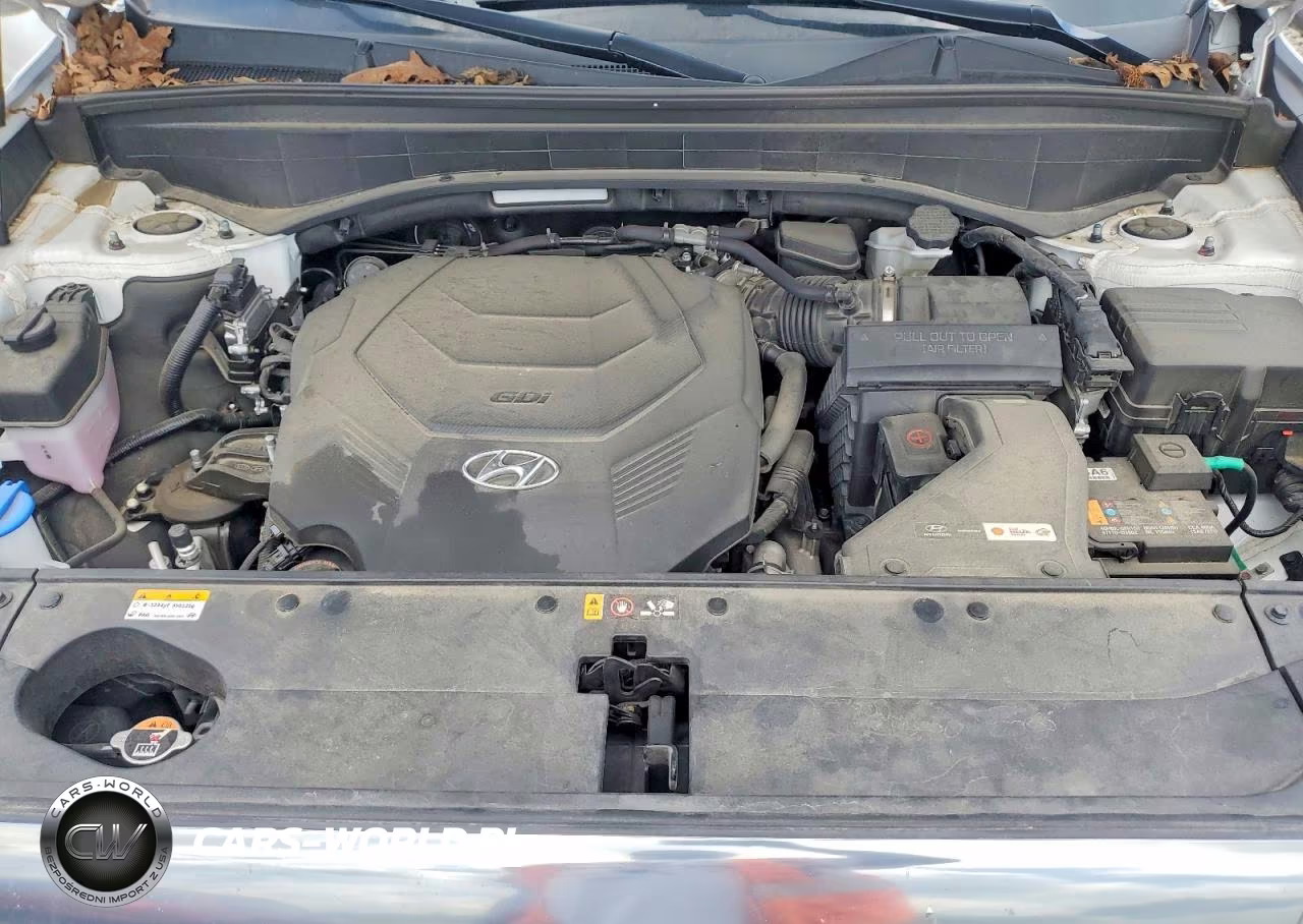 2024 Hyundai Palisade Calligraphy VIN:KM8R74GE3RU725122 - 12