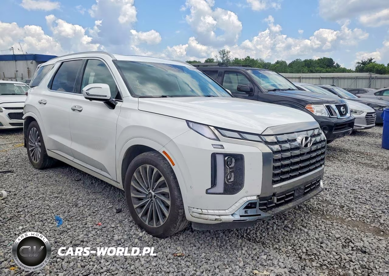 2024 Hyundai Palisade Calligraphy VIN:KM8R74GE3RU725122 - 4