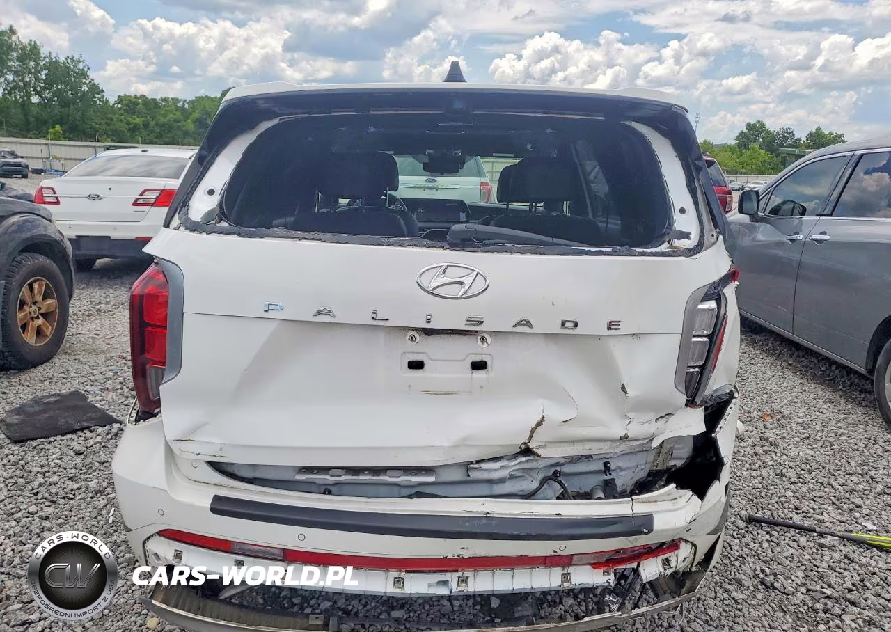 2024 Hyundai Palisade Calligraphy VIN:KM8R74GE3RU725122 - 6