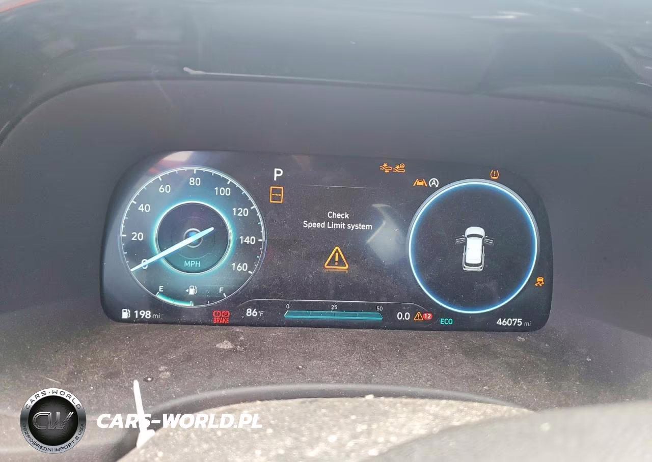 2024 Hyundai Palisade Calligraphy VIN:KM8R74GE3RU725122 - 9