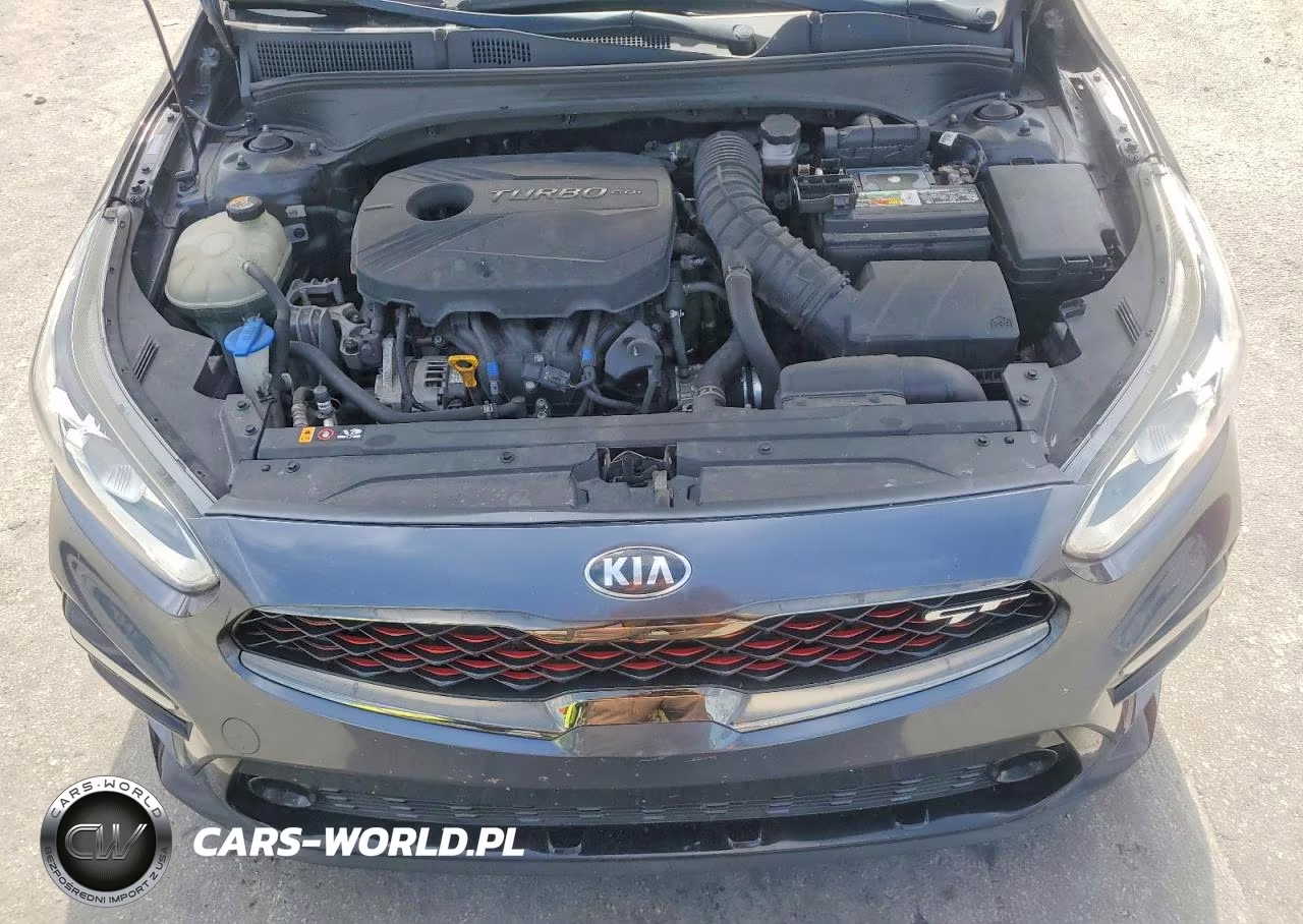 2020 Kia Forte Gt VIN:3KPF44AC3LE256806 - 11