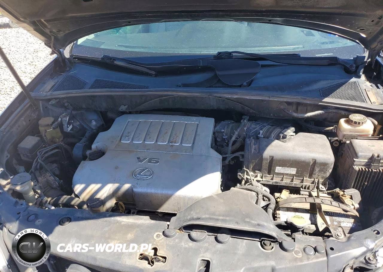 2009 Lexus Rx 350 VIN:2T2GK31U19C060069 - 12