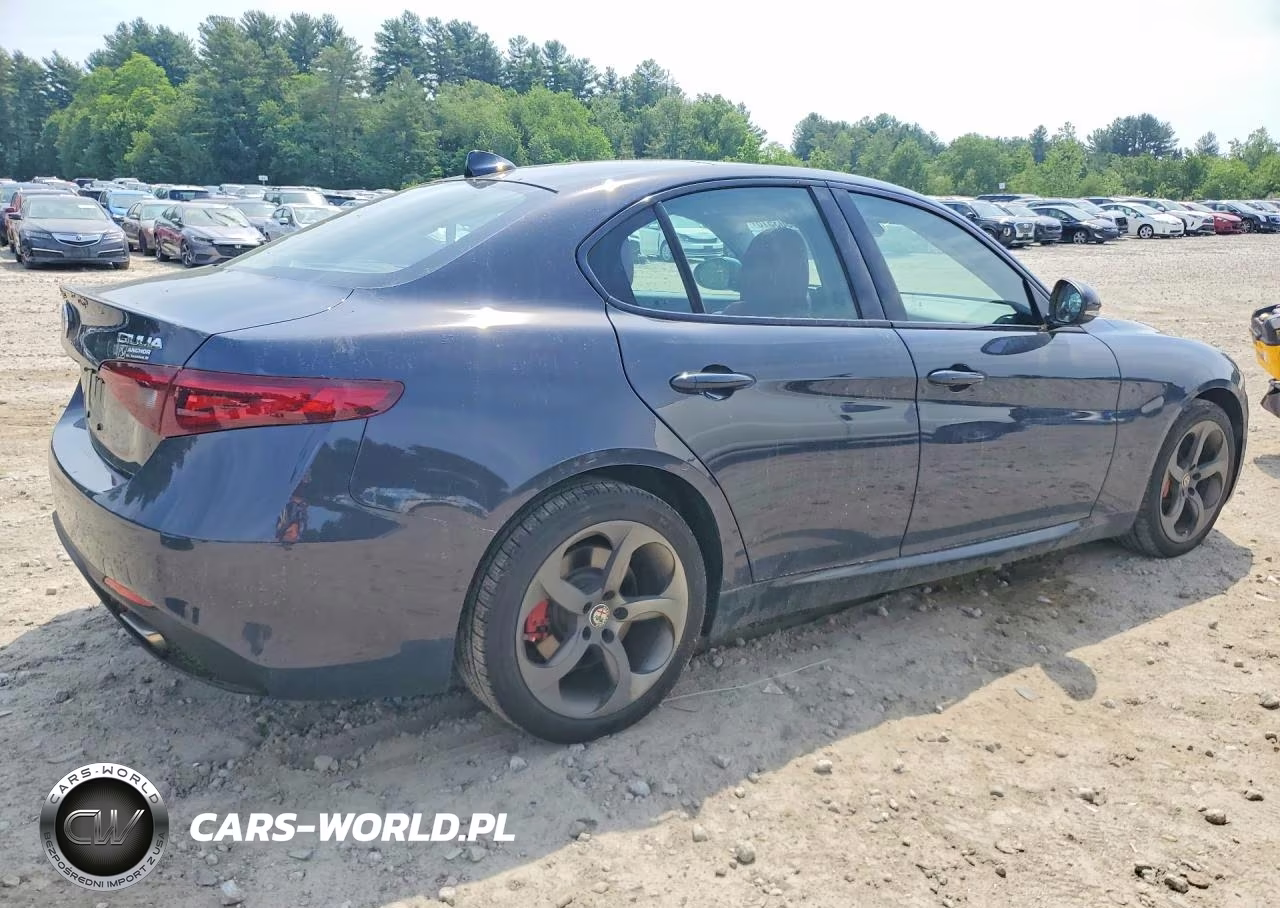 2019 Alfa Romeo Giulia VIN:ZARFANAN7K7605602 - 3