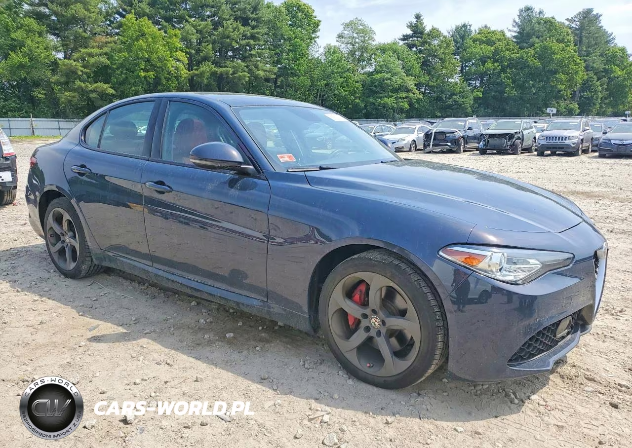 2019 Alfa Romeo Giulia VIN:ZARFANAN7K7605602 - 4