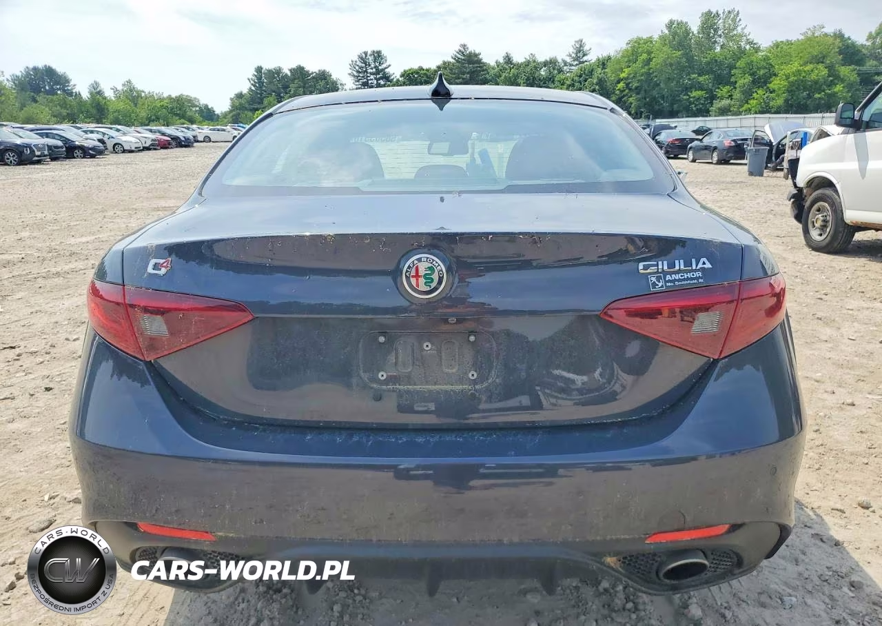 2019 Alfa Romeo Giulia VIN:ZARFANAN7K7605602 - 6
