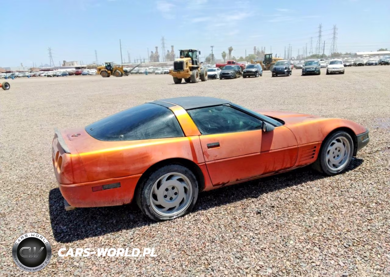 CHEVROLET CORVETTE VIN:1G1YY2386M5102364 - 3